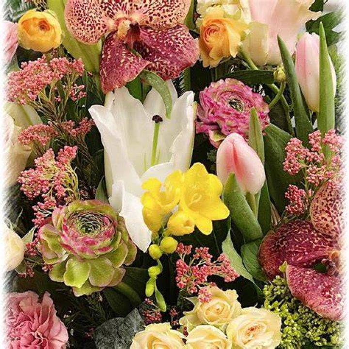 flowers-2