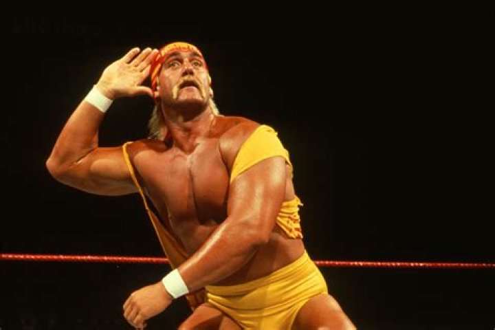 Hulk Hogan children: Meet Brooke Hogan and Nick Hogan 1 Hulk Hogan