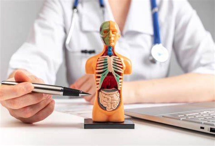 Internal Medicine