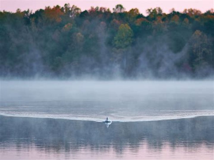 Mist in 'My Adventures with Superman'.