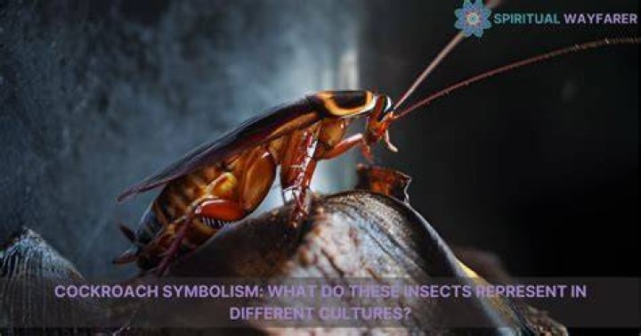 What does the cockroach symbolize in WALL-E?